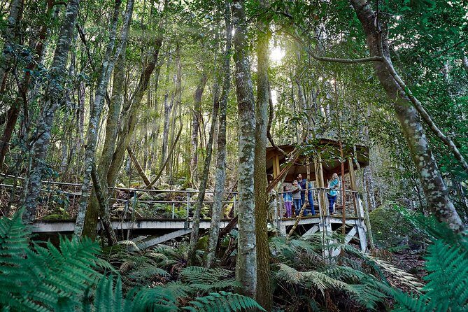 Blue Mountains Small-Group Tour from Sydney with Scenic World,Sydney Zoo & Ferry - Sydney Zoo: Australian Icons Plus the Surprise Factor
