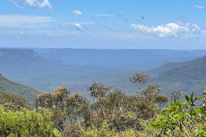 Blue Mountains Small Group Tour w/optional Scenic World & Lunch - Wentworth Falls: waterfall time with two ways to enjoy it