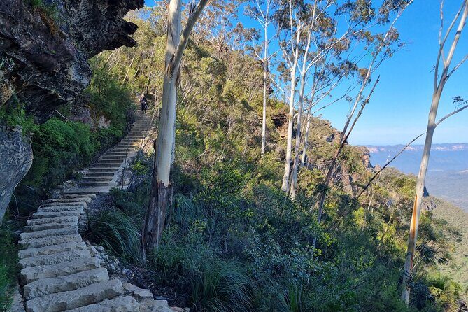 Blue Mountains Small Group Tour with Lunch, Zoo and Scenic World - Stop 4: Josephson’s Fine Chocolate for a Hot Chocolate Reset
