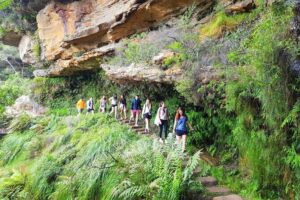 Blue Mountains Small Group Tour with Waterfall Walk & Fresh Lunch - The early start: Haymarket pickup and a full 10 hours of Blue Mountains