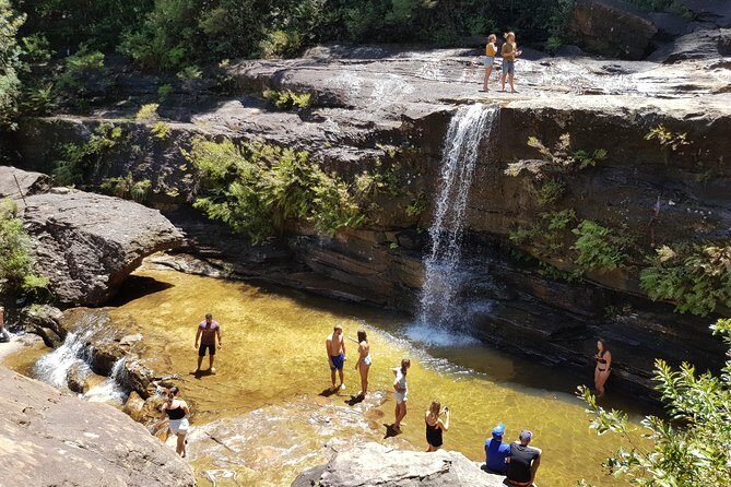 Blue Mountains Small Group Tour with Waterfall Walk & Fresh Lunch - Blue Mountains lookouts: viewpoints where weather changes the plan