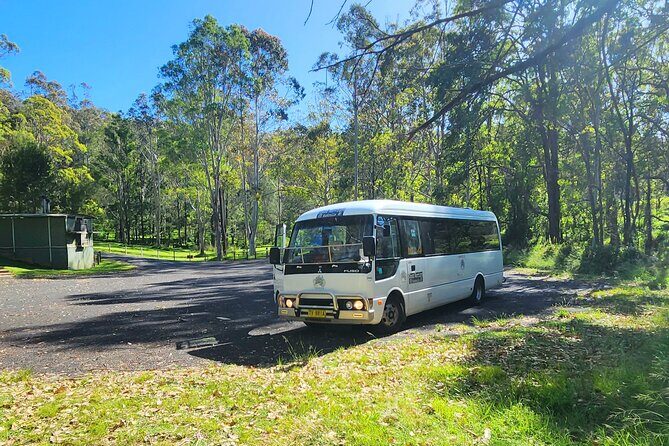 Blue Mountains Small Group Tour with Waterfall Walk & Fresh Lunch - Wentworth Falls: the waterfall walk, the stairs, and the optional hard part