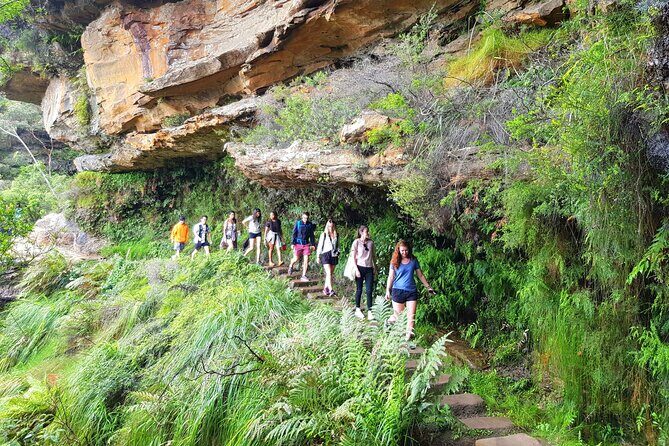 Blue Mountains Small Group Tour with Waterfall Walk & Fresh Lunch - The early start: Haymarket pickup and a full 10 hours of Blue Mountains