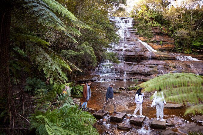 Blue Mountains Sunset Tour with Kangaroo Sightings from Sydney - Why this later-than-usual departure feels like a win from Sydney