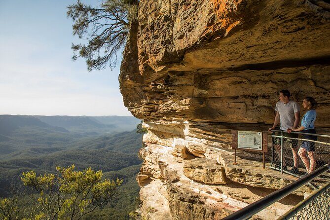 Blue Mountains Sunset Tour with Kangaroo Sightings from Sydney - The coach ride: comfort, Wi‑Fi, and what the guide does for the day