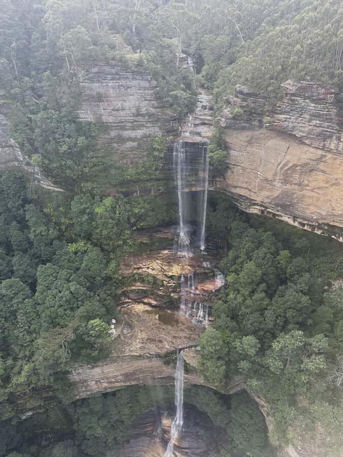 Blue Mountains Tour w/Lunch: Scenic World, Zoo & Koala Photo - Who this tour fits best (and who should reconsider)