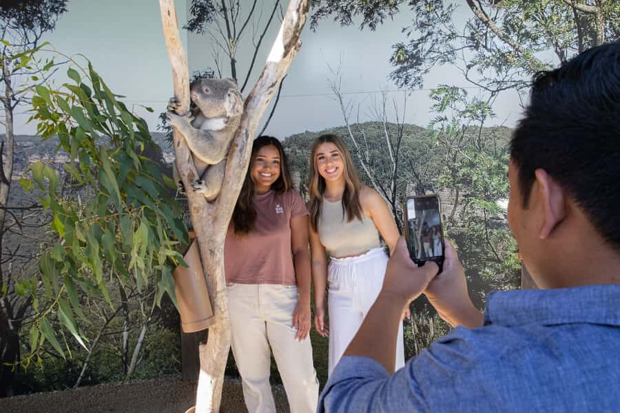 Blue Mountains Tour w/Lunch: Scenic World, Zoo & Koala Photo - The Blue Mountains stops you’ll actually remember
