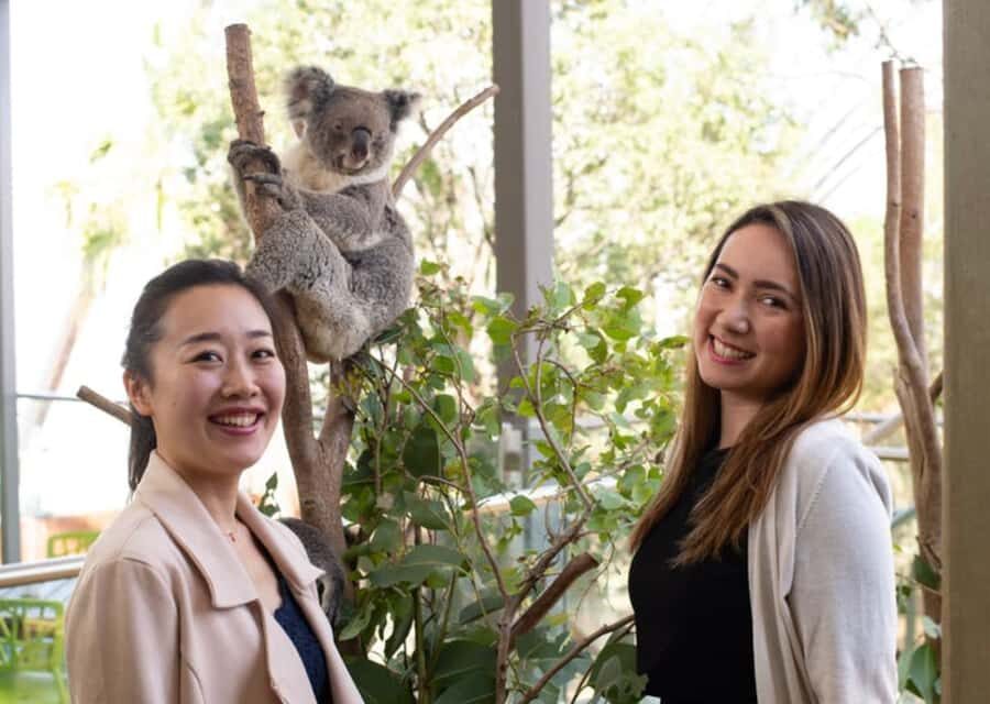 Breakfast with Koalas at WILD LIFE Zoo Darling Harbour - Early Morning Koalas at WILD LIFE Sydney Zoo, Darling Harbour