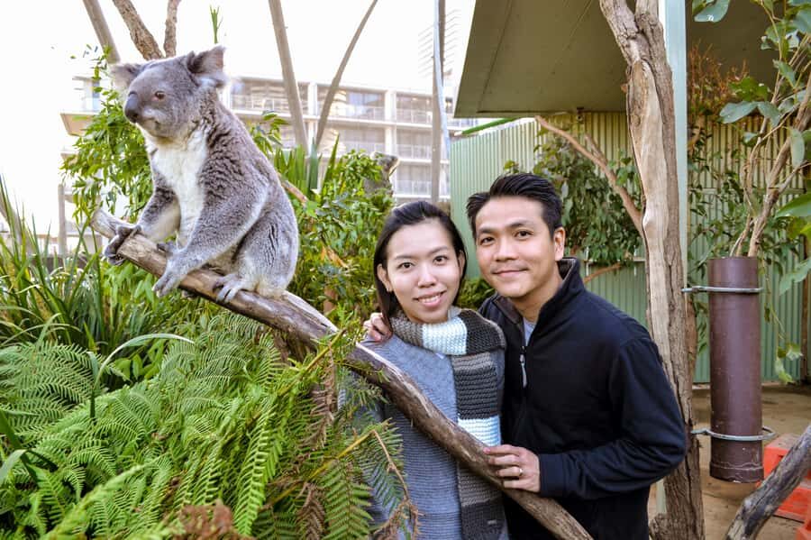 Breakfast with Koalas at WILD LIFE Zoo Darling Harbour - Practical Tips: Shoes, Timing, and Minor Rules That Matter