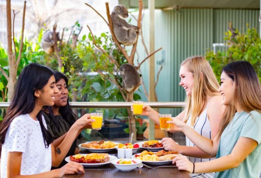 Breakfast with Koalas at WILD LIFE Zoo Darling Harbour - 07:15 Registration and the Morning Setup That Makes This Work