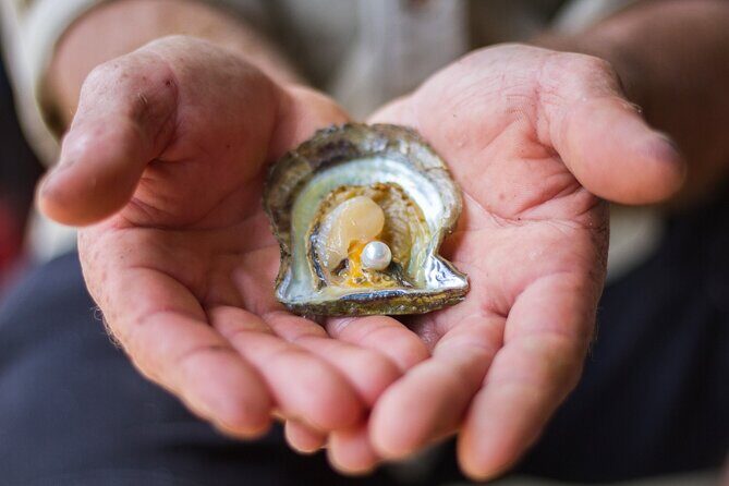 Broken Bay Pearl & Oyster Farm Tours - Price and Value: Is $29 a Fair Deal for This Experience?