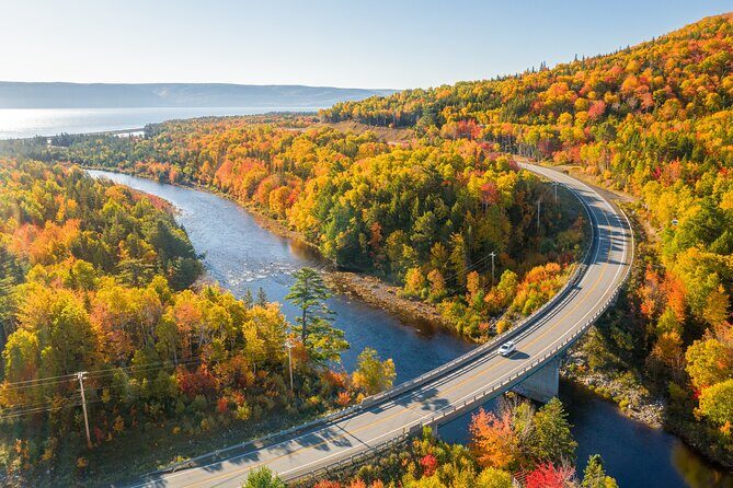 Cabot Trail Bus Tour for Cruise Excursion - Small Group Size (Max 14) and Why It Matters on a Long Day