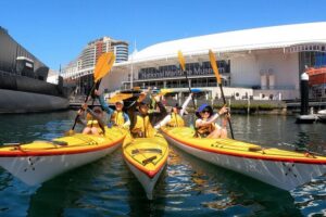 Darling Harbour Explorer - Sea Kayaking Tour - The paddle route: Darling Harbour and Cockle Bay from the water