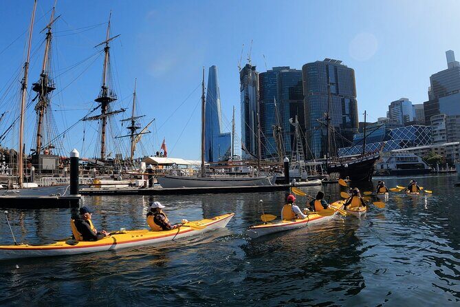 Darling Harbour Explorer - Sea Kayaking Tour - What your guide actually adds (it’s not just safety)
