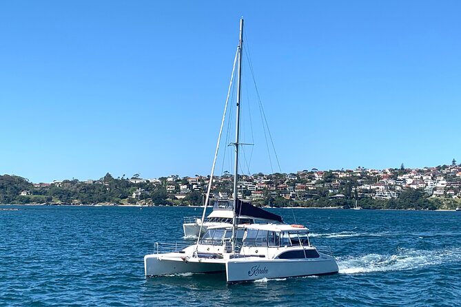 Dogs on Deck Harbour Cruise - The catamaran feel: small group, lots of room to relax