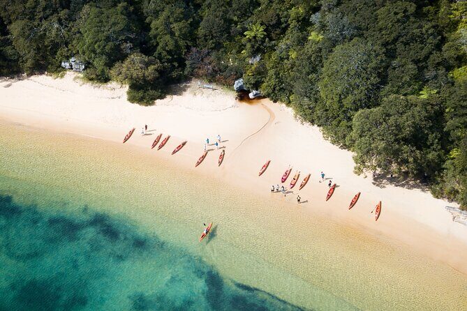 Double Kayak Hire - 4 Hours - Why four hours on the water feels like the sweet spot