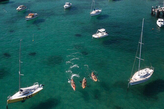 Double Kayak Hire - 4 Hours - Paddling North Harbour: secret beaches and scenic waterways
