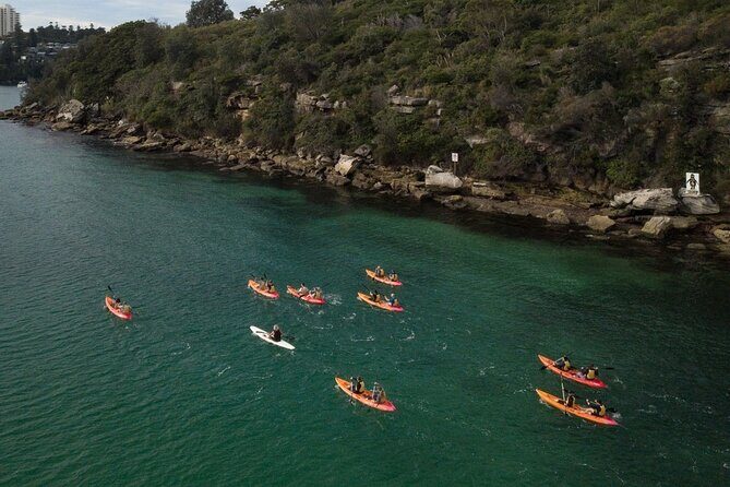 Double Kayak Hire - 4 Hours - Timing and return: back to East Side Pier