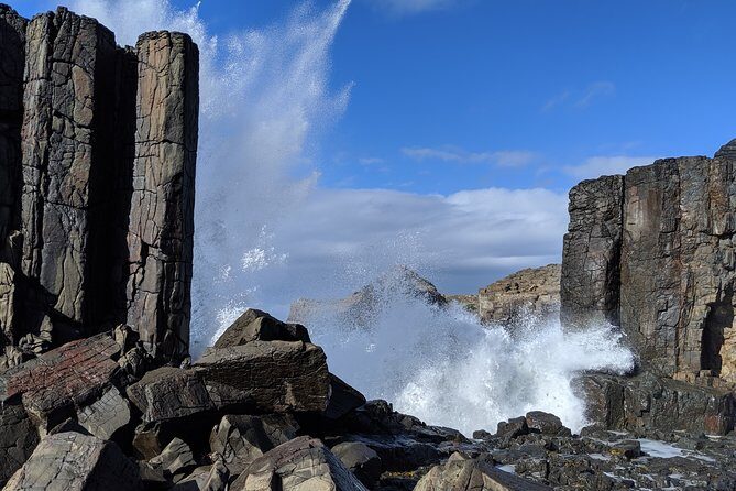 Erupting Blowholes and Ancient Rainforests SOUTH COAST OF SYDNEY PRIVATE TOUR - Sea Cliff Bridge: The Drive That Feels Like Part of the Show