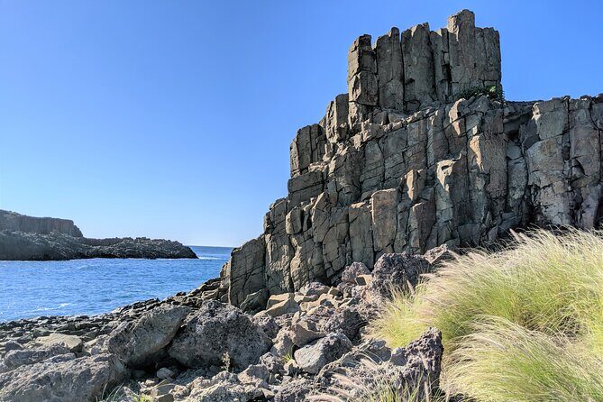 Erupting Blowholes and Ancient Rainforests SOUTH COAST OF SYDNEY PRIVATE TOUR - Minnamurra and the Kiama Coast Walk Segment: Big Ocean Energy