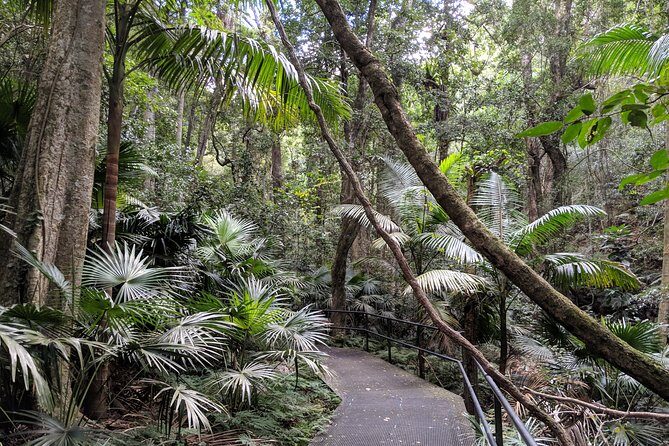 Erupting Blowholes and Ancient Rainforests SOUTH COAST OF SYDNEY PRIVATE TOUR - Cathedral Rocks and the Quick Photo Hit