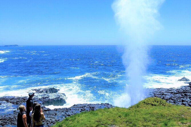 Erupting Blowholes and Ancient Rainforests SOUTH COAST OF SYDNEY PRIVATE TOUR - Stanwell Tops: High Views, Paragliders, and a Quick Reset