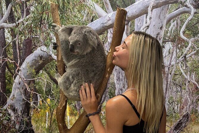 Featherdale Wildlife Park with Exclusive Private Transfers - Key Highlights to Know Before You Go