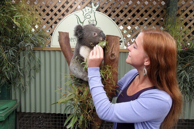 Featherdale Wildlife Park with Exclusive Private Transfers - Who Should Book This Featherdale Private-Transfer Day