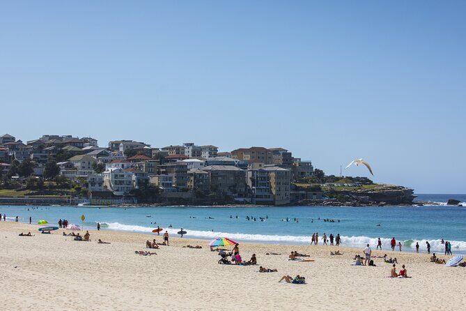 First Timer Sydney Sightseeing & Bondi Beach 1/2 Day Tour - Value check: is $56.66 worth it for first-timers?