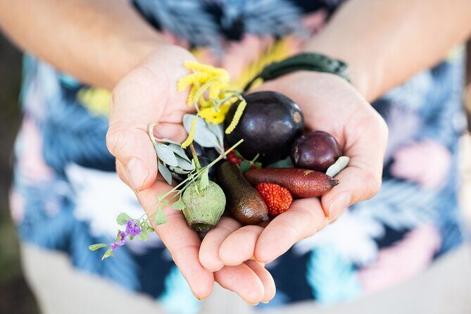 Foraging Tour: Botanical Gardens Walk & Picnic - The Picnic Stop: Native-Inspired Food with Harbour Views