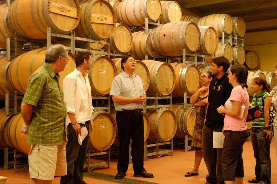 From Sydney: All Inclusive Boutique Hunter Valley Wine Tour - Should you book this Hunter Valley tour?