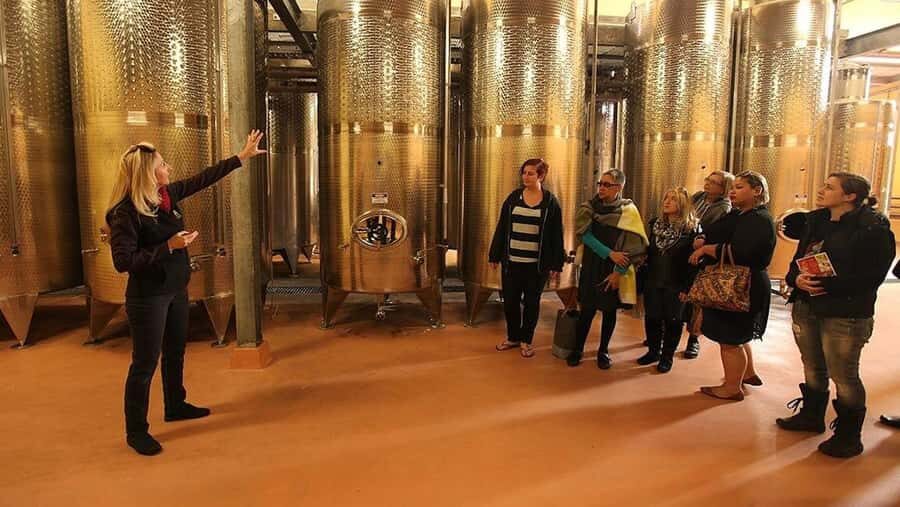 From Sydney: Award-Winning Hunter Valley Wine & Cheese Tour - The big picture: why this Hunter Valley tour works