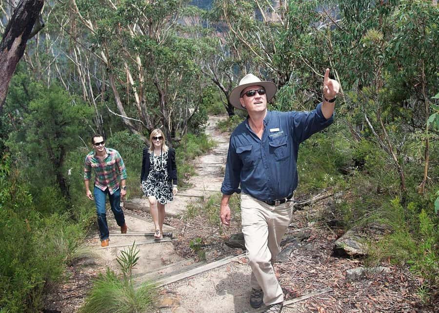 From Sydney: Blue Mountains Bushwalks & Featherdale Tour - Key things I’d circle before you book