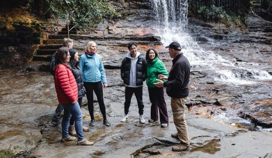 From Sydney: Blue Mountains Bushwalks & Featherdale Tour - Wentworth Falls bushwalk: short, guided, and built for the views