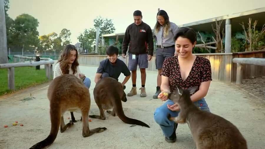 From Sydney: Blue Mountains Day Tour & Hop-on, Hop-off Tour - Katoomba Scenic World: unlimited rides and better mountain views