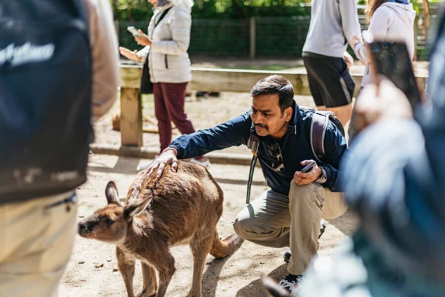 From Sydney: Blue Mountains Full-Day Trip - Should you book this tour?