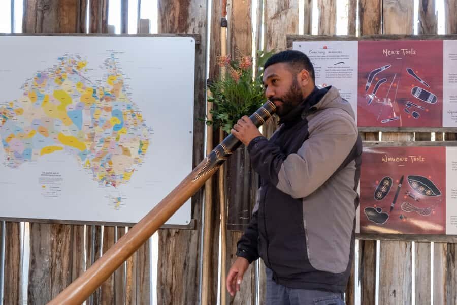 From Sydney: Blue Mountains, Scenic Railway, & Sydney Zoo - Sydney Zoo: kangaroo feeding plus a First Nations cultural talk