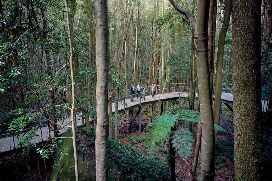 From Sydney: Blue Mountains, Scenic World, Zoo, & Ferry Ride - Pickup windows in Sydney: choose your start, then plan for an early wake-up