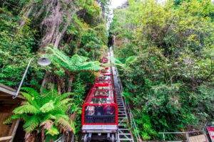 From Sydney: Blue Mountains, Scenic World, Zoo, & Ferry Ride - Echo Point and the Three Sisters: where your Blue Mountains morning clicks into focus