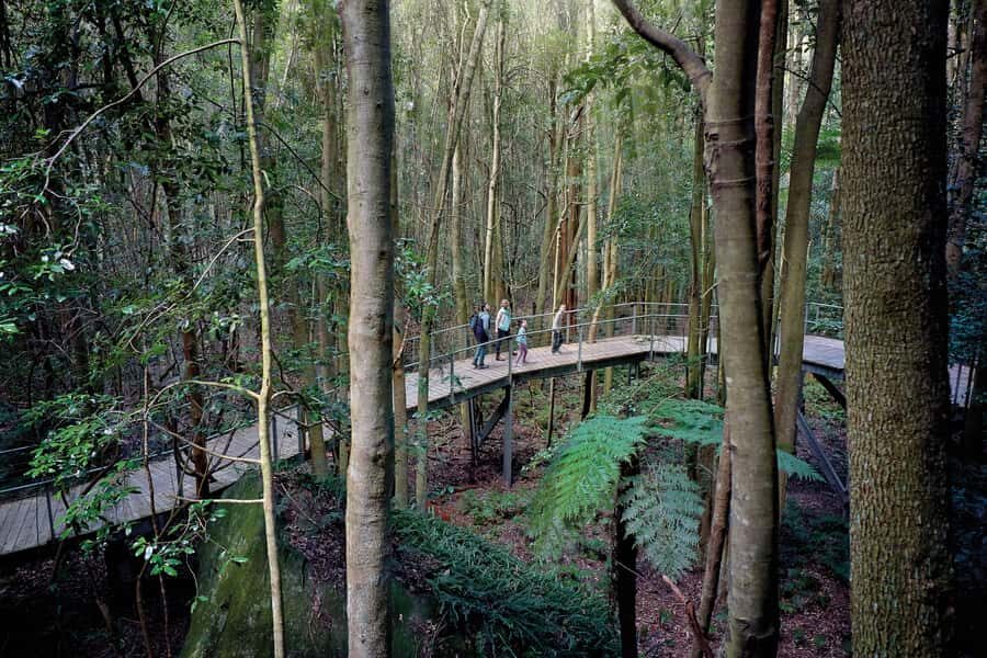 From Sydney: Blue Mountains, Sydney Zoo & Walking Tour - Katoomba Falls and your 2-hour self-guided walk time