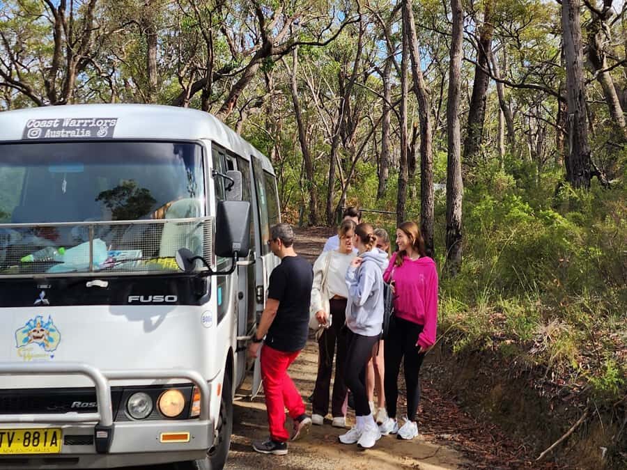 From Sydney: Blue Mountains Tour with Waterfall Walk & Lunch - Price and value: is $85 a fair deal for a full-day Blue Mountains hike?