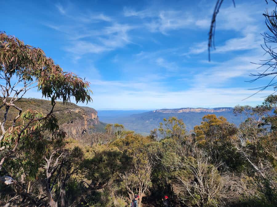 From Sydney: Blue Mountains Tour with Waterfall Walk & Lunch - Sydney to the Blue Mountains: the timing that makes it feel doable