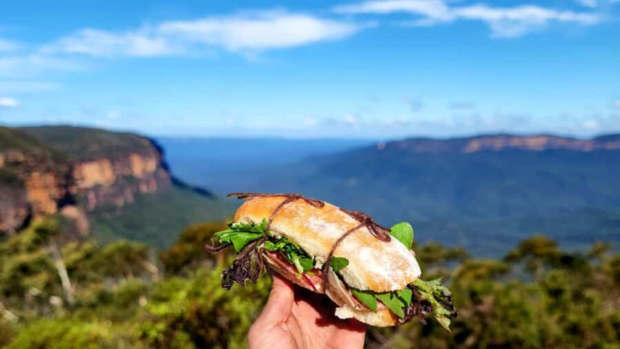 From Sydney: Blue Mountains Tour with Waterfall Walk & Lunch - The stairs, the optional bottom-of-falls section, and how hard this really is