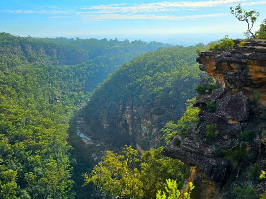 From Sydney: Blue Mountains Tour with Waterfall Walk & Lunch - Group size, minibus comfort, and why the day feels less exhausting