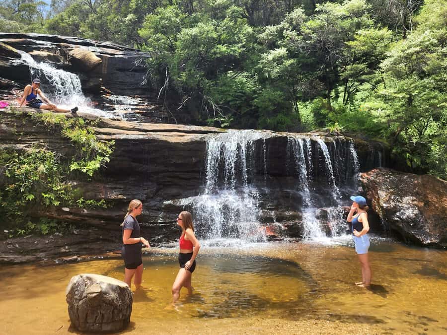 From Sydney: Blue Mountains Tour with Waterfall Walk & Lunch - Nature moments: wildlife, dips, and how to be ready