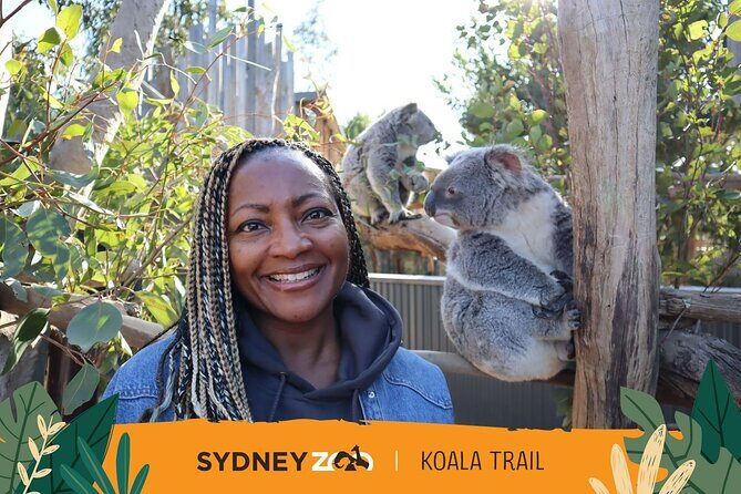 From Sydney: Blue Mountains with Zoo, Koala Photo & Scenic World - Leura Village lunch time: freedom without the planning headache