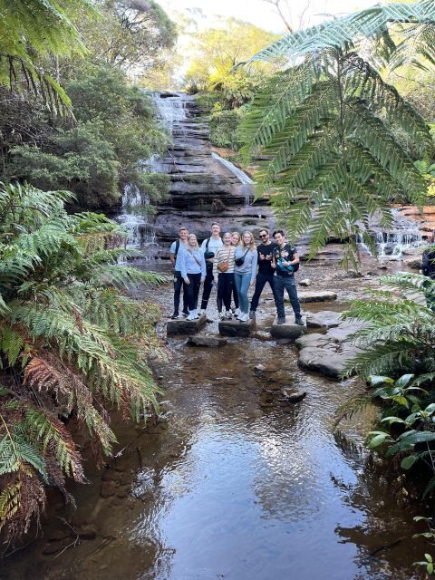 From Sydney: Blue Moutains and Featherdale Day Tour - Scenic World: The Rides That Turn a Viewpoint Day Into an Experience