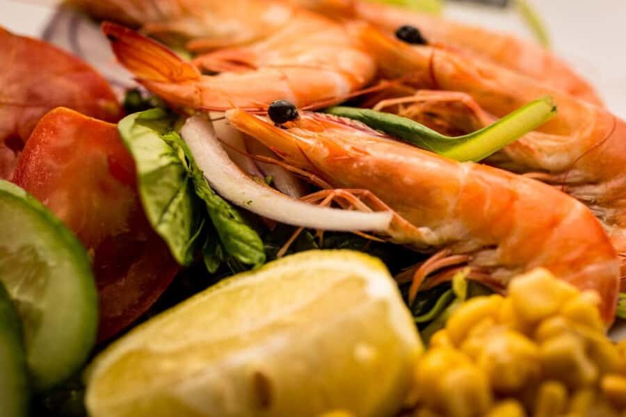 From Sydney: Canberra Floriade Festival Includes Lunch - Who this tour fits best (and who should consider alternatives)