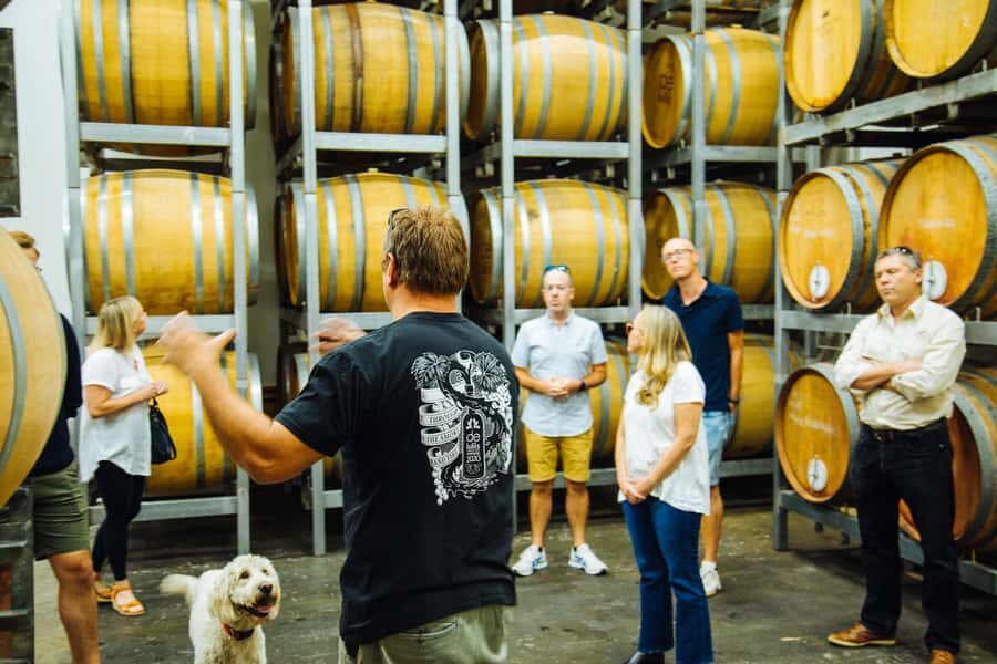 From Sydney: Full-Day Hunter Valley Tour w/ Tastings & Lunch - Should you book this tour or look at alternatives?