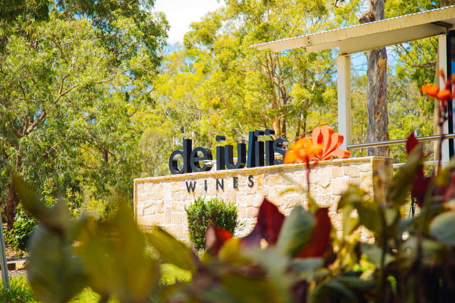 From Sydney: Full-Day Hunter Valley Tour w/ Tastings & Lunch - Who should book this Hunter Valley day trip?